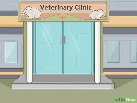 Image intitulée Care for Dwarf Rabbits Step 26