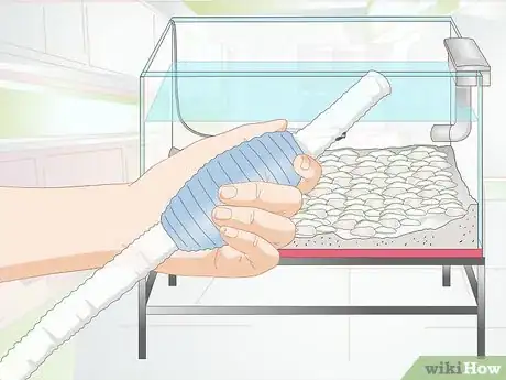 Image intitulée Clean Aquarium Gravel Step 2
