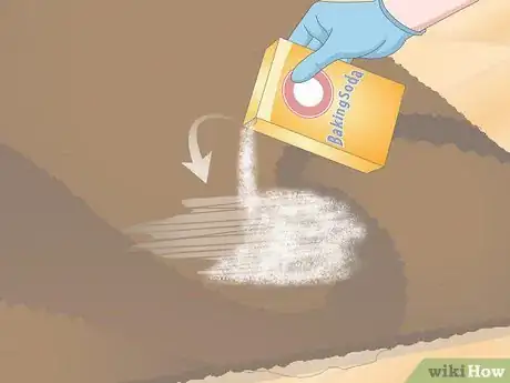 Image intitulée Get Dog Urine Smell out of Carpets Step 4