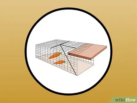 Image intitulée Catch a Wild Rabbit Step 20