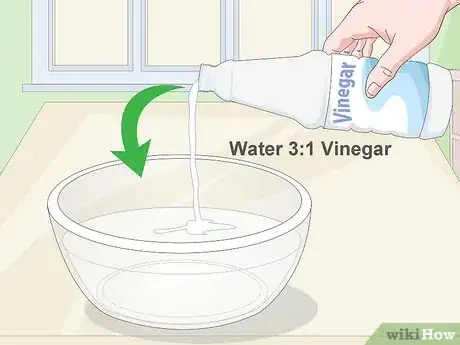 Image intitulée Get Cat Urine Smell Out of Clothes Step 4