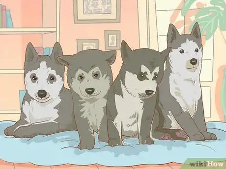 Image intitulée Sell Puppies Step 12