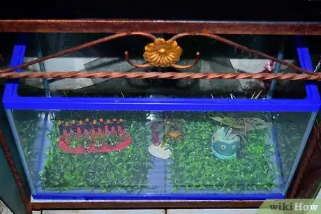Image intitulée Set Up a Turtle Tank Step 5