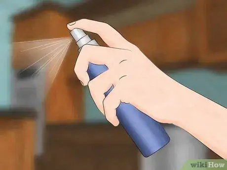 Image intitulée Remove Dead Animal Odor Step 9