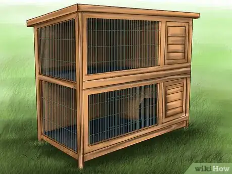Image intitulée Care for Havana Rabbits Step 7