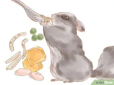 Image intitulée Care for a Sugar Glider Step 5