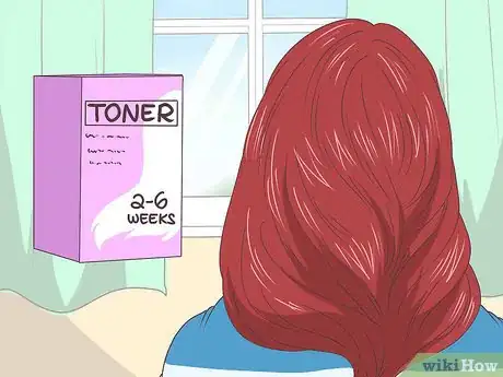 Image intitulée Get Red Out of Hair Step 12