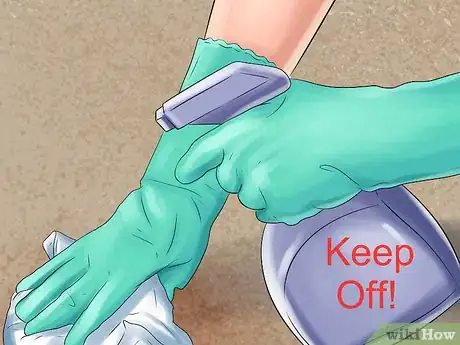 Image intitulée Get Rid of Dog Urine Smell Step 14
