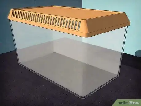 Image intitulée Keep Spiders As Pets Step 5