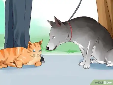 Image intitulée Keep Your Dog from Chasing Cats Step 4