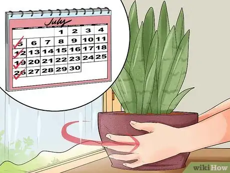 Image intitulée Care for a Sansevieria or Snake Plant Step 4