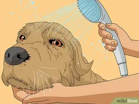 Image intitulée Get Dog Smell Out of the Carpet Step 9