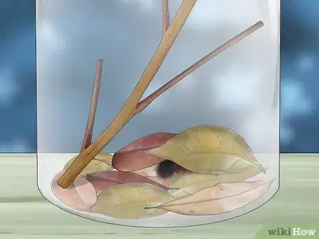 Image intitulée Care for Woolly Bear Caterpillars Step 9