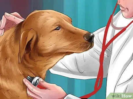 Image intitulée Get Rid of Dog Urine Smell Step 13