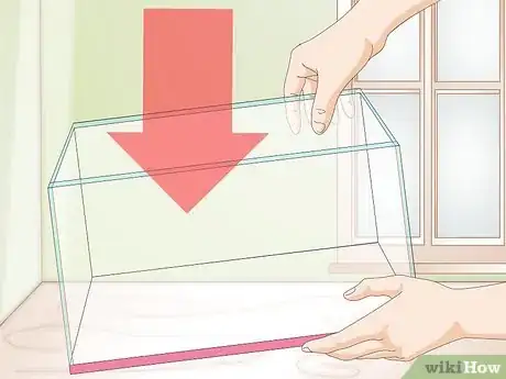 Image intitulée Set Up a Betta Tank Step 6