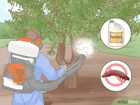 Image intitulée Grow Almonds Step 17