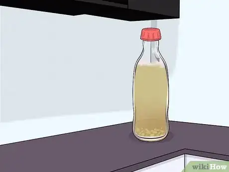 Image intitulée Make Ginger Ale Step 13