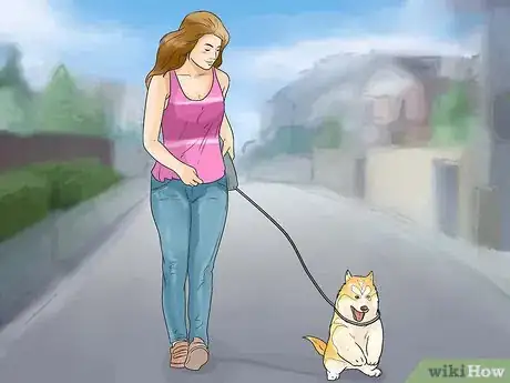 Image intitulée Train and Care for Your New Siberian Husky Puppy Step 11