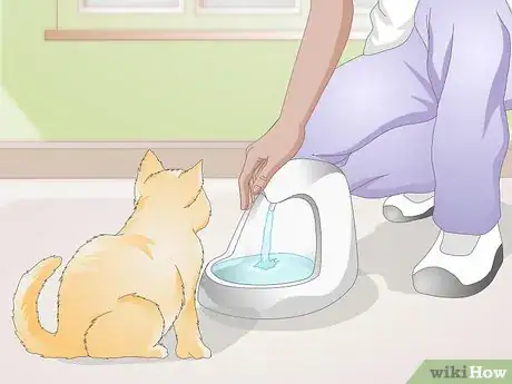 Image intitulée Train Your Cat to Use a Pet Fountain Step 3