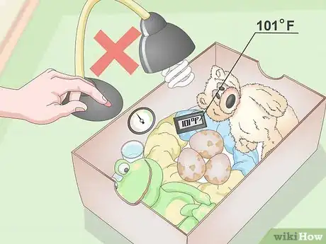 Image intitulée Create an Egg Incubator for Wild Bird Eggs Step 10