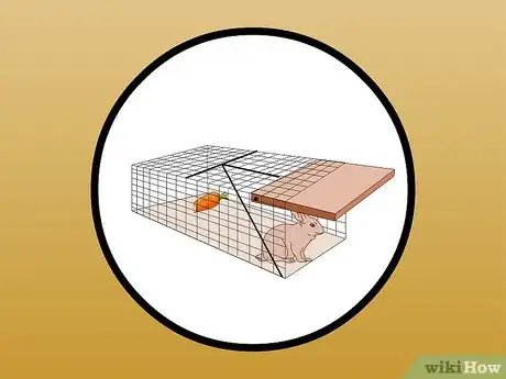 Image intitulée Catch a Wild Rabbit Step 22