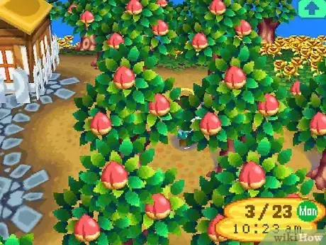 Image intitulée Make a Lot of Bells (Money) in Animal Crossing_ Wild World Step 58