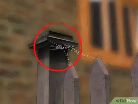 Image intitulée Identify and Treat Black Widow Spider Bites Step 8