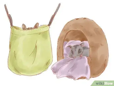 Image intitulée Care for a Sugar Glider Step 3