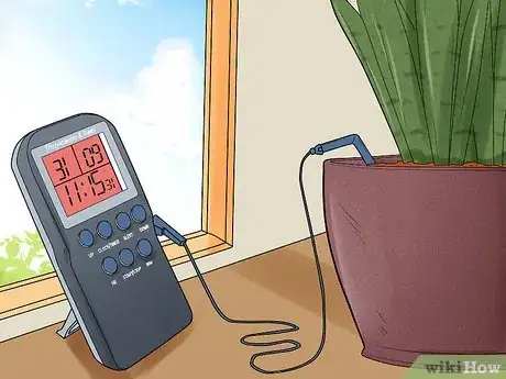 Image intitulée Care for a Sansevieria or Snake Plant Step 6