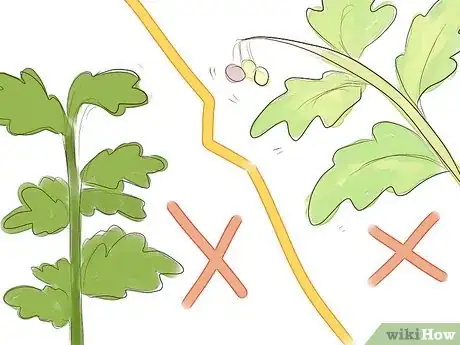 Image intitulée Use Commercial Fertilizer Step 8