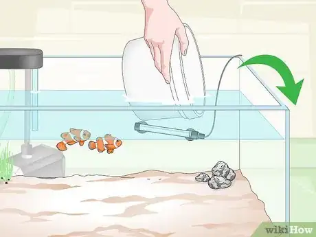 Image intitulée Cycle a Saltwater Tank Step 12