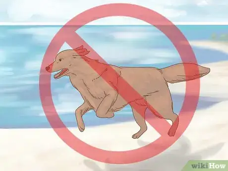 Image intitulée Care for a Dog After Spaying Step 18