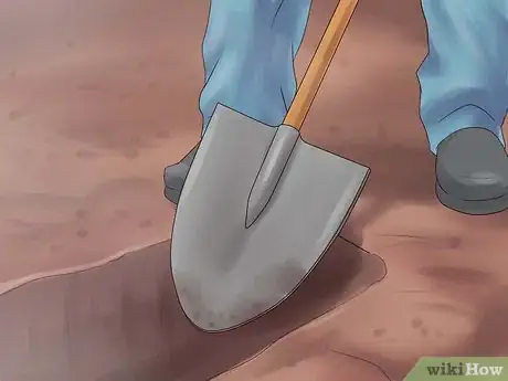Image intitulée Plant Sugar Cane Step 3