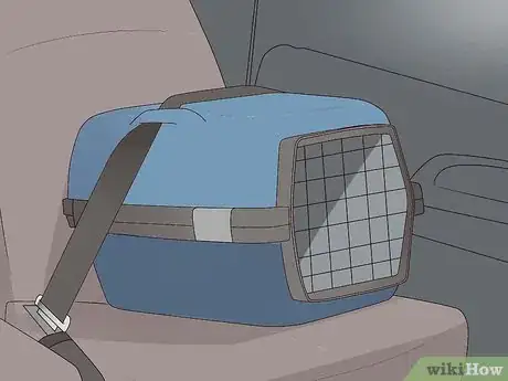 Image intitulée Transport a Rabbit Step 6
