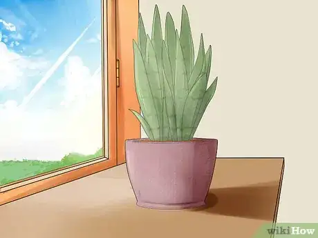 Image intitulée Care for a Sansevieria or Snake Plant Step 2
