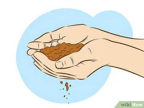Image intitulée Grow Sweet William Plants Step 5