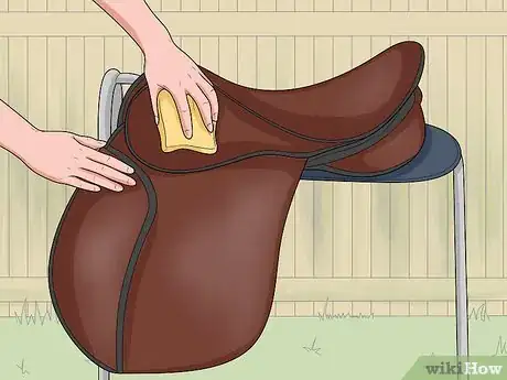 Image intitulée Treat Horse Lice Step 9