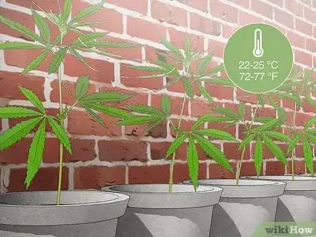 Image intitulée Plant Clones Step 10