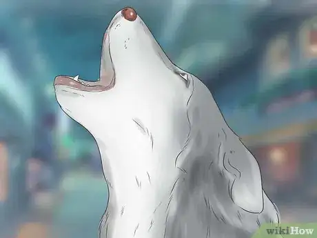 Image intitulée Train and Care for Your New Siberian Husky Puppy Step 15
