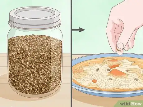 Image intitulée Grow Dill Step 17