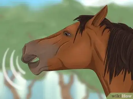 Image intitulée Communicate with Animals Step 5