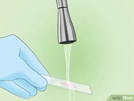 Image intitulée Identify Bacteria Step 19