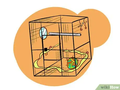 Image intitulée Care for a Conure Step 3