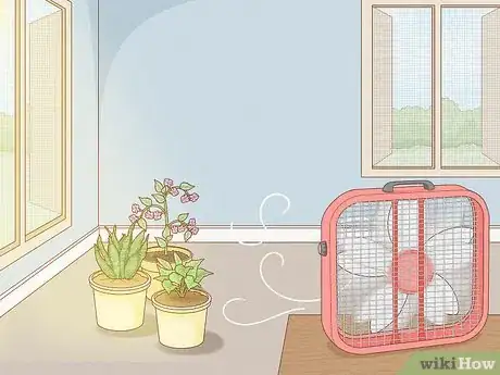 Image intitulée Get Rid of Mold on Houseplants Step 11