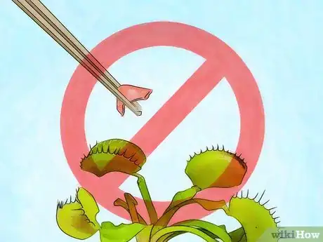 Image intitulée Grow a Venus Flytrap Step 12