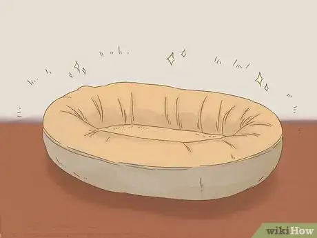 Image intitulée Care for a Dog After Spaying Step 16