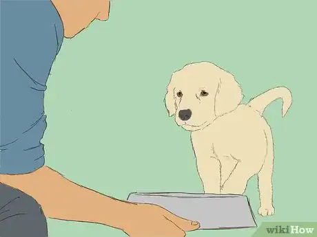 Image intitulée Care for an 8 Week Old Puppy Step 10