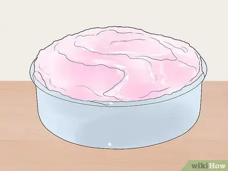 Image intitulée Make an Animal Cell for a Science Project Step 11