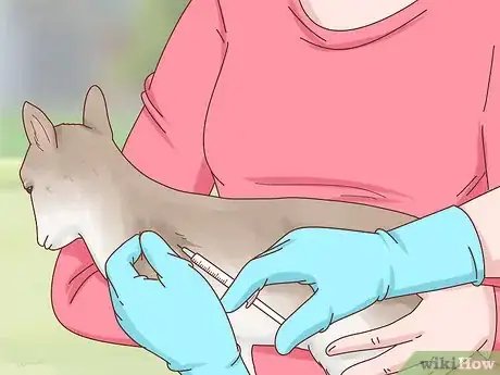 Image intitulée Care for Baby Goats Step 9