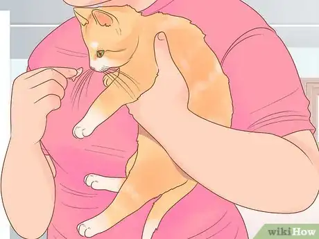 Image intitulée Get Rid of Tapeworms in Your Pets Step 8